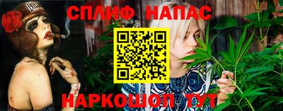гашик Дубна