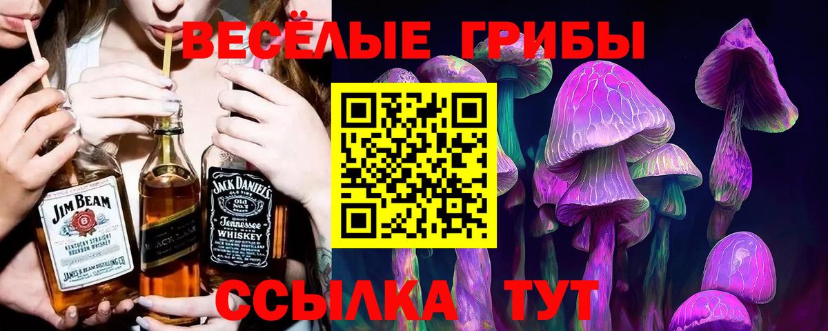 Галлюциногенные грибы Psilocybe  продажа наркотиков  Жигулёвск  Вход с VPN 