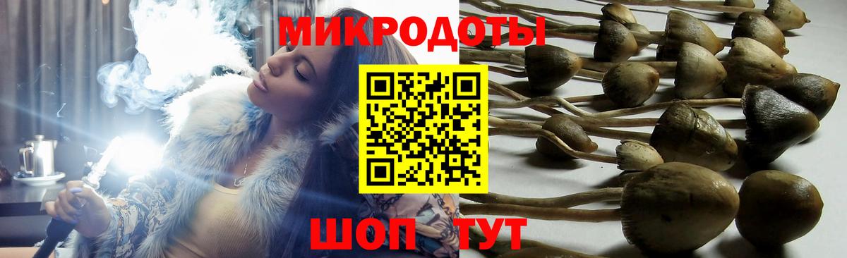 Галлюциногенные грибы Cubensis Жигулёвск